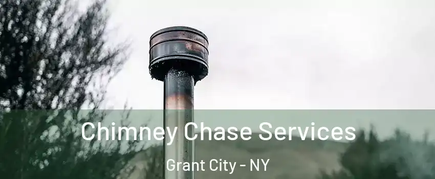 Chimney Chase Services Grant City - NY