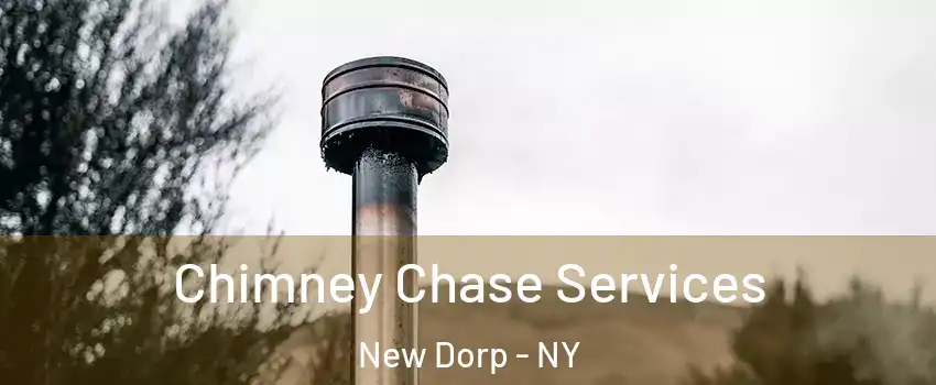 Chimney Chase Services New Dorp - NY