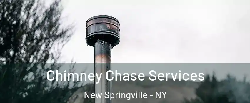 Chimney Chase Services New Springville - NY