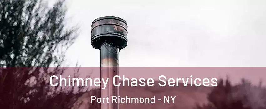 Chimney Chase Services Port Richmond - NY