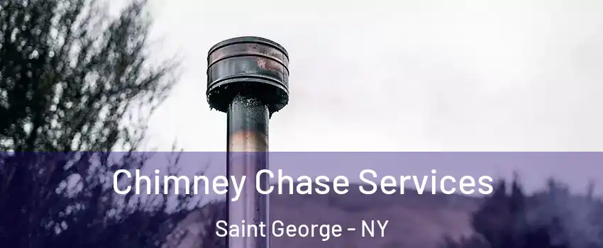 Chimney Chase Services Saint George - NY