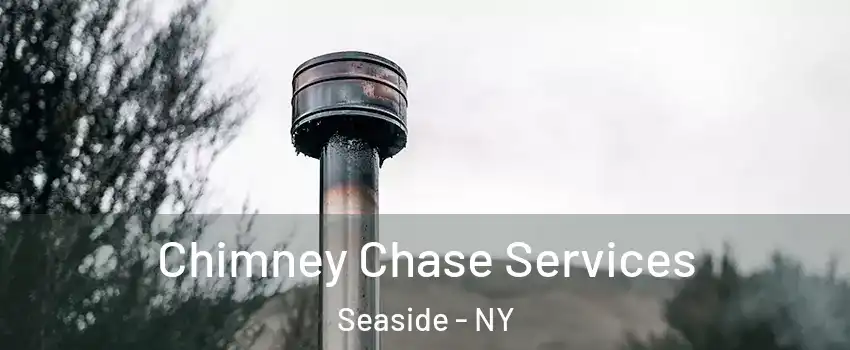 Chimney Chase Services Seaside - NY