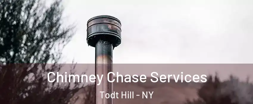 Chimney Chase Services Todt Hill - NY