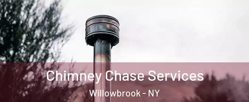 Chimney Chase Services Willowbrook - NY