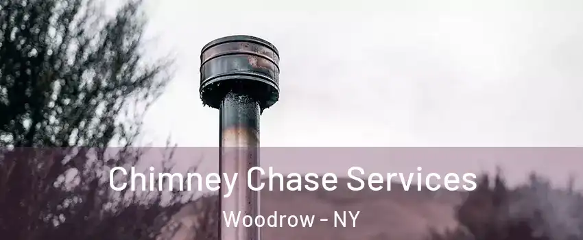 Chimney Chase Services Woodrow - NY