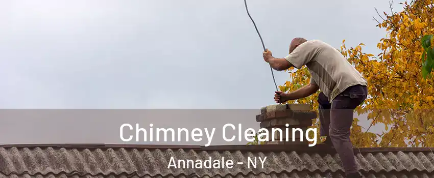 Chimney Cleaning Annadale - NY