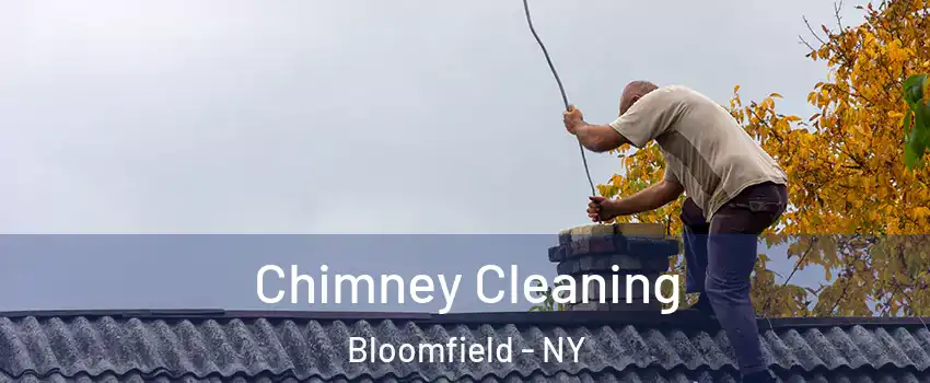 Chimney Cleaning Bloomfield - NY