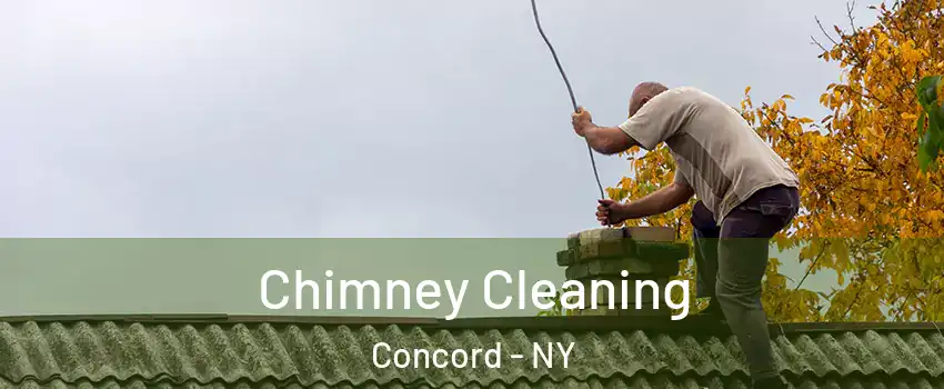 Chimney Cleaning Concord - NY