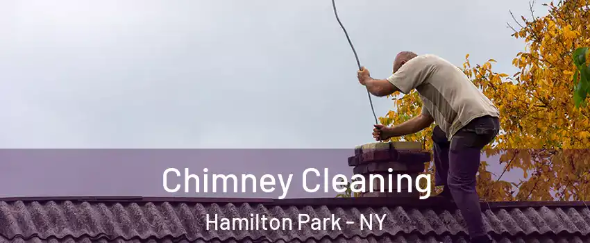 Chimney Cleaning Hamilton Park - NY