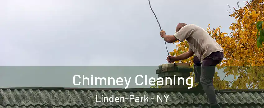 Chimney Cleaning Linden-Park - NY