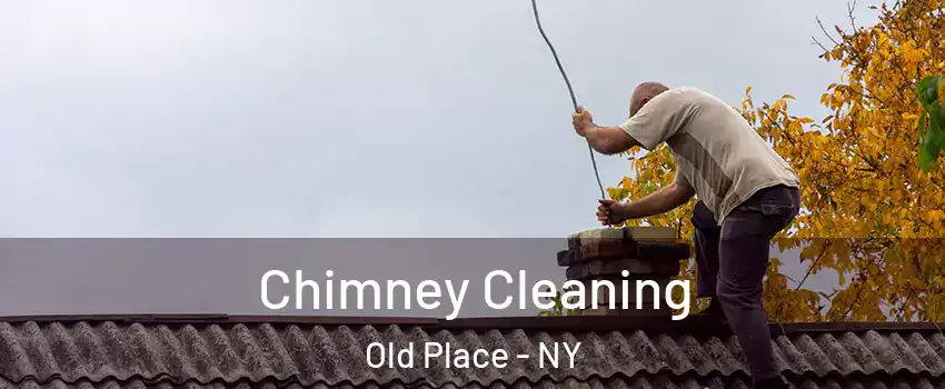 Chimney Cleaning Old Place - NY