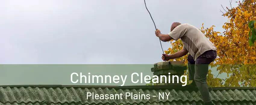 Chimney Cleaning Pleasant Plains - NY