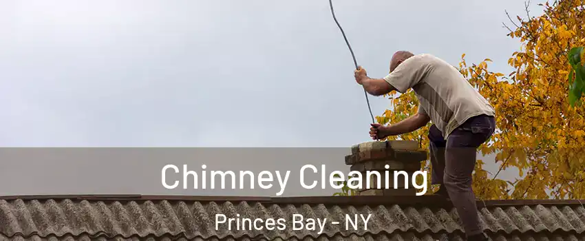 Chimney Cleaning Princes Bay - NY