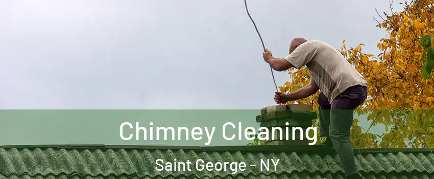 Chimney Cleaning Saint George - NY