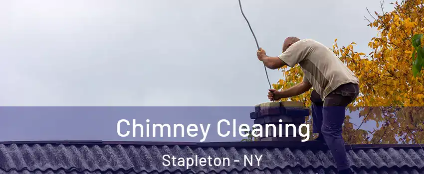 Chimney Cleaning Stapleton - NY