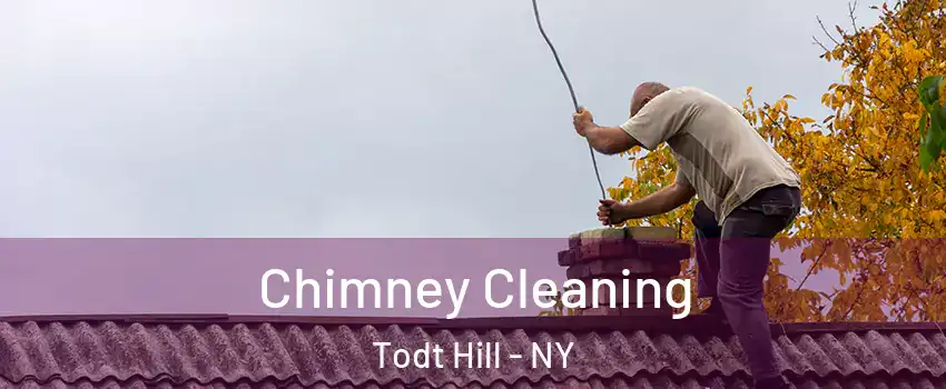 Chimney Cleaning Todt Hill - NY