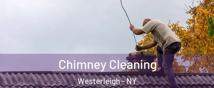 Chimney Cleaning Westerleigh - NY