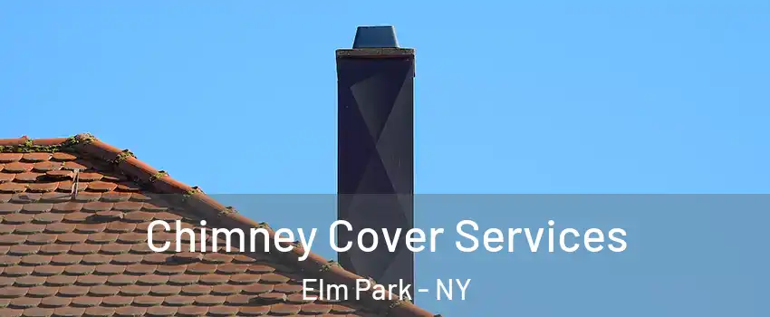 Chimney Cover Services Elm Park - NY