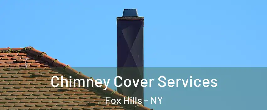 Chimney Cover Services Fox Hills - NY