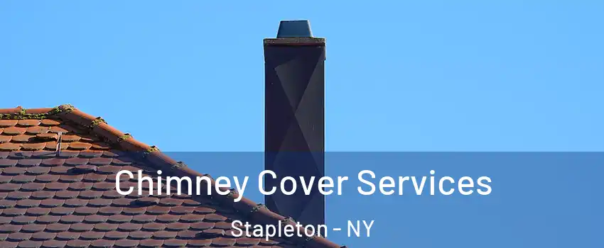 Chimney Cover Services Stapleton - NY