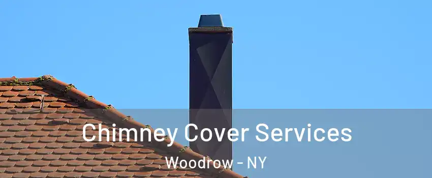 Chimney Cover Services Woodrow - NY