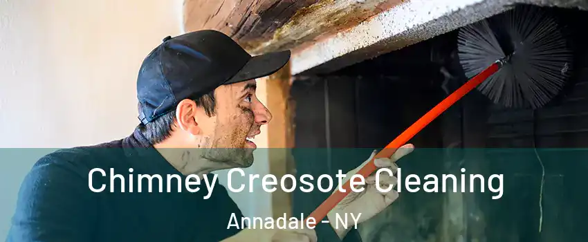 Chimney Creosote Cleaning Annadale - NY