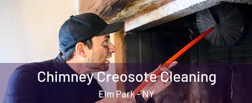 Chimney Creosote Cleaning Elm Park - NY