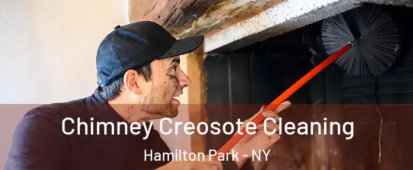 Chimney Creosote Cleaning Hamilton Park - NY