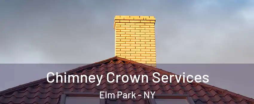 Chimney Crown Services Elm Park - NY