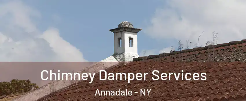 Chimney Damper Services Annadale - NY