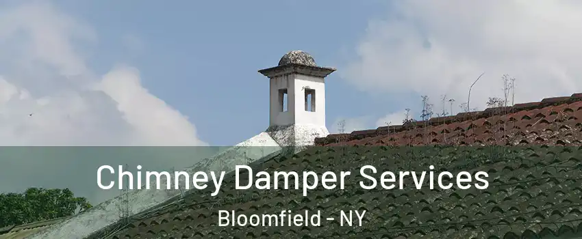 Chimney Damper Services Bloomfield - NY