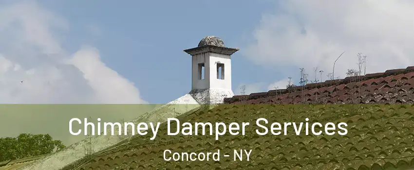 Chimney Damper Services Concord - NY