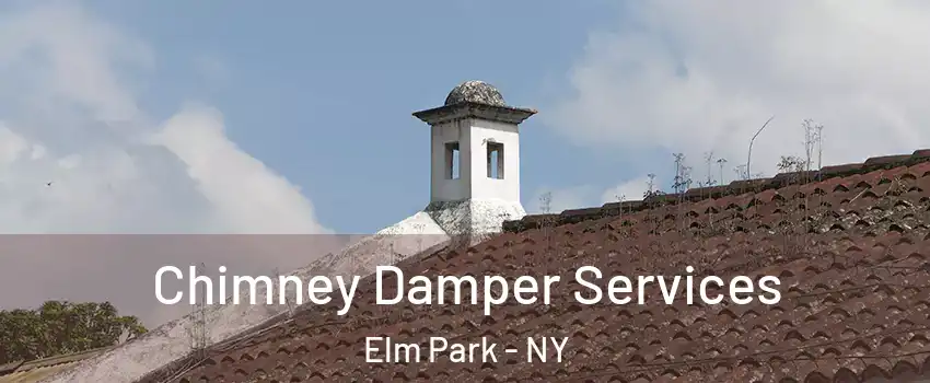 Chimney Damper Services Elm Park - NY