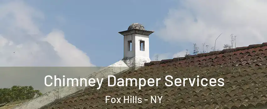 Chimney Damper Services Fox Hills - NY