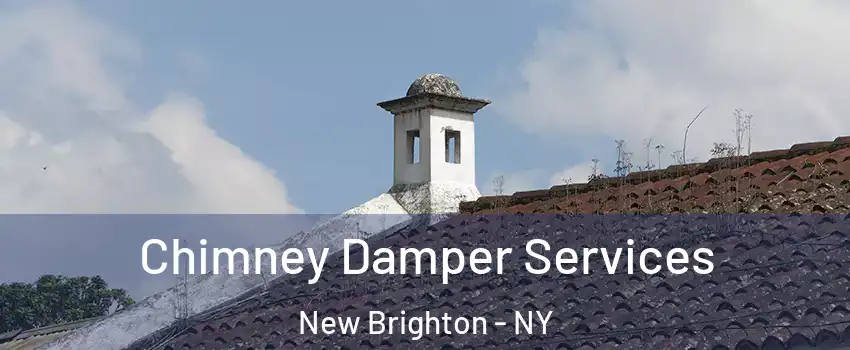 Chimney Damper Services New Brighton - NY