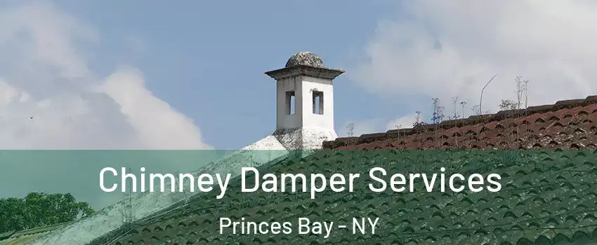 Chimney Damper Services Princes Bay - NY