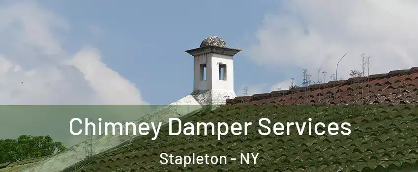 Chimney Damper Services Stapleton - NY