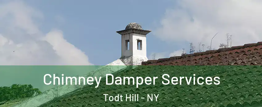 Chimney Damper Services Todt Hill - NY