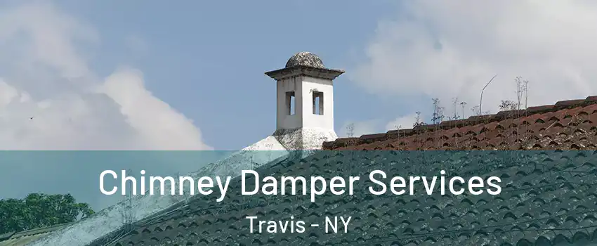 Chimney Damper Services Travis - NY