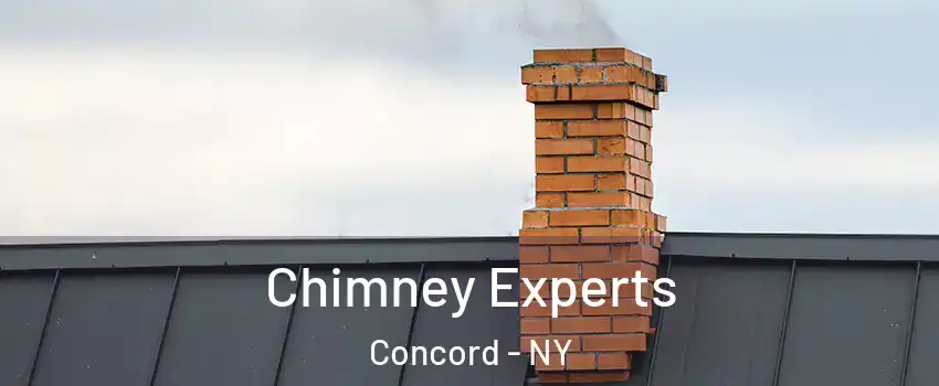 Chimney Experts Concord - NY