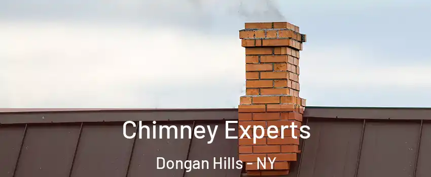 Chimney Experts Dongan Hills - NY