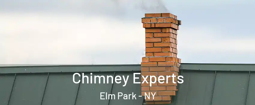 Chimney Experts Elm Park - NY