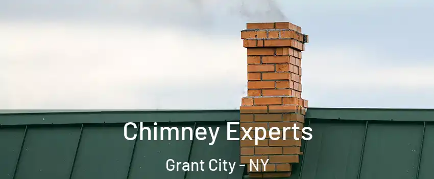 Chimney Experts Grant City - NY