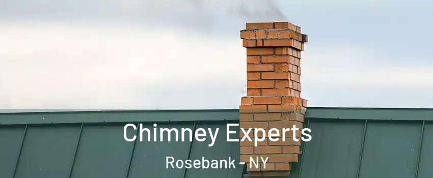 Chimney Experts Rosebank - NY