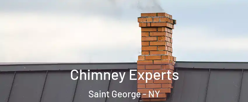 Chimney Experts Saint George - NY