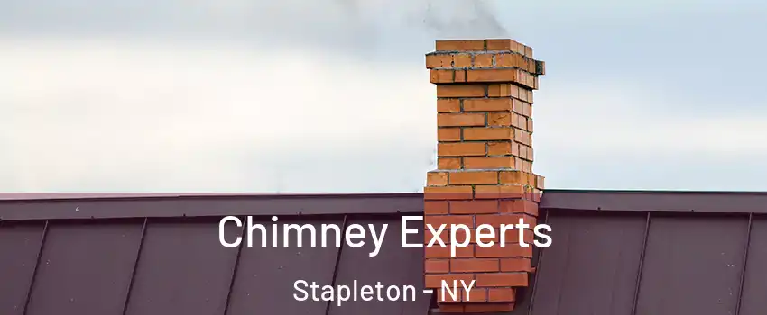 Chimney Experts Stapleton - NY