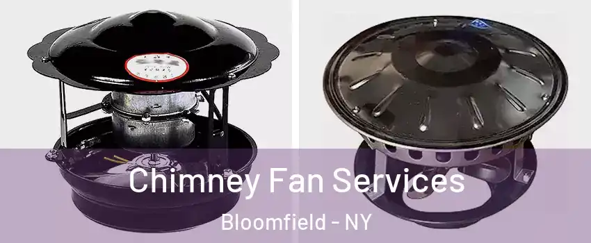 Chimney Fan Services Bloomfield - NY