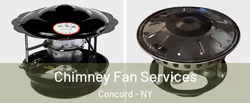 Chimney Fan Services Concord - NY