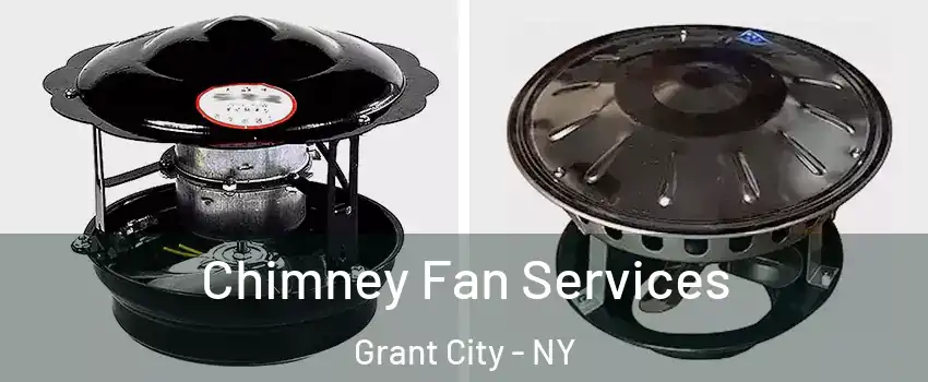 Chimney Fan Services Grant City - NY