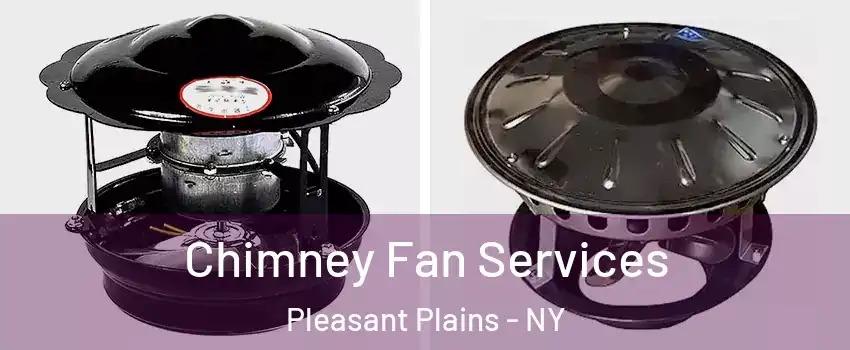 Chimney Fan Services Pleasant Plains - NY